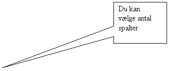 Rektangulr billedforklaring: Du kan vlge antal spalter